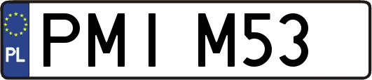 PMIM53