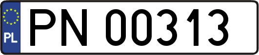 PN00313