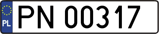 PN00317