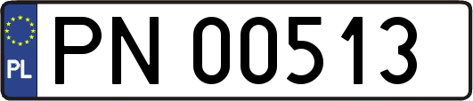 PN00513