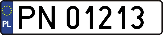PN01213