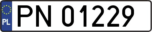 PN01229