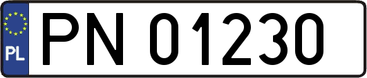 PN01230