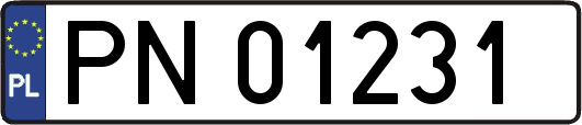 PN01231