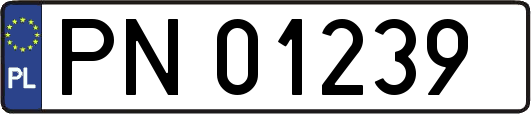 PN01239