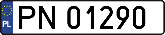 PN01290