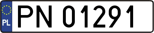 PN01291