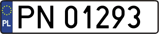 PN01293