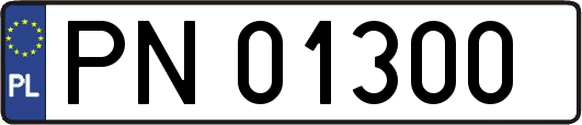 PN01300
