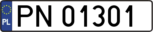 PN01301