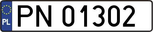 PN01302