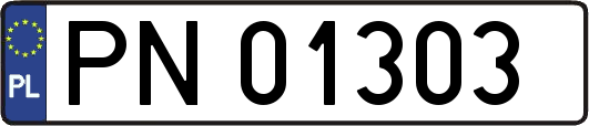 PN01303
