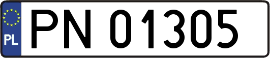 PN01305