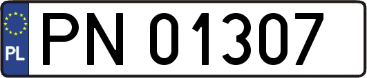 PN01307
