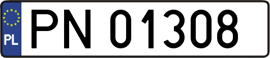 PN01308