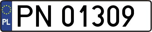 PN01309
