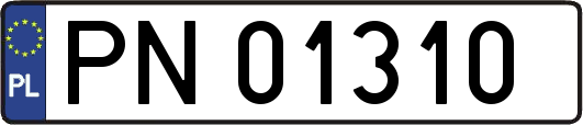 PN01310