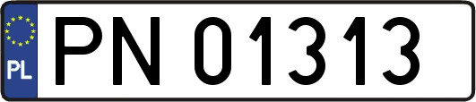 PN01313
