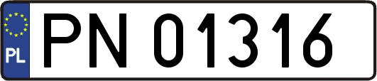 PN01316