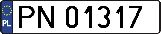 PN01317