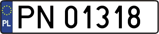 PN01318