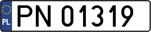 PN01319
