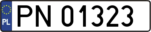 PN01323