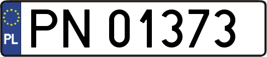 PN01373