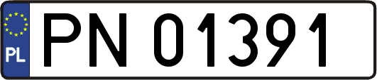 PN01391