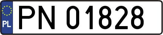 PN01828