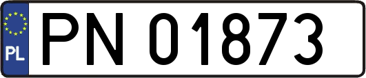 PN01873