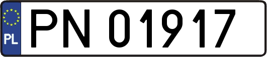 PN01917