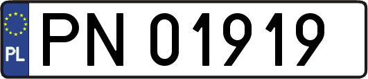 PN01919