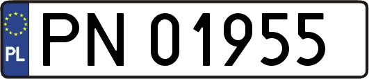 PN01955