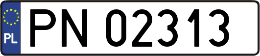 PN02313