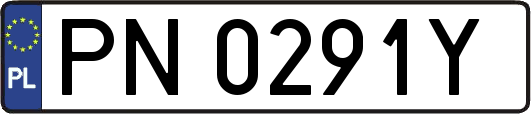 PN0291Y