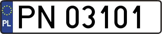PN03101