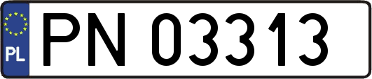 PN03313