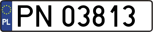 PN03813