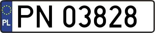 PN03828