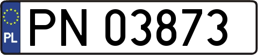 PN03873