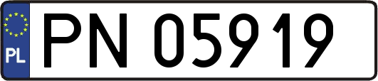 PN05919