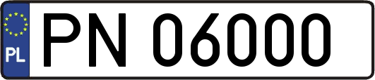 PN06000