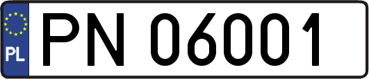 PN06001