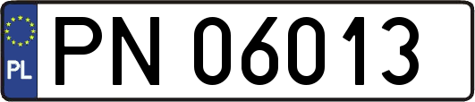 PN06013