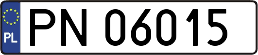 PN06015