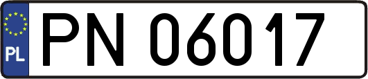 PN06017