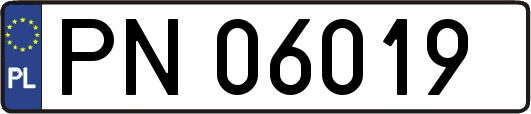 PN06019
