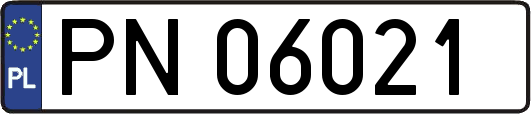PN06021