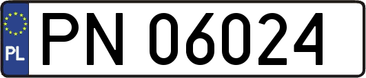 PN06024